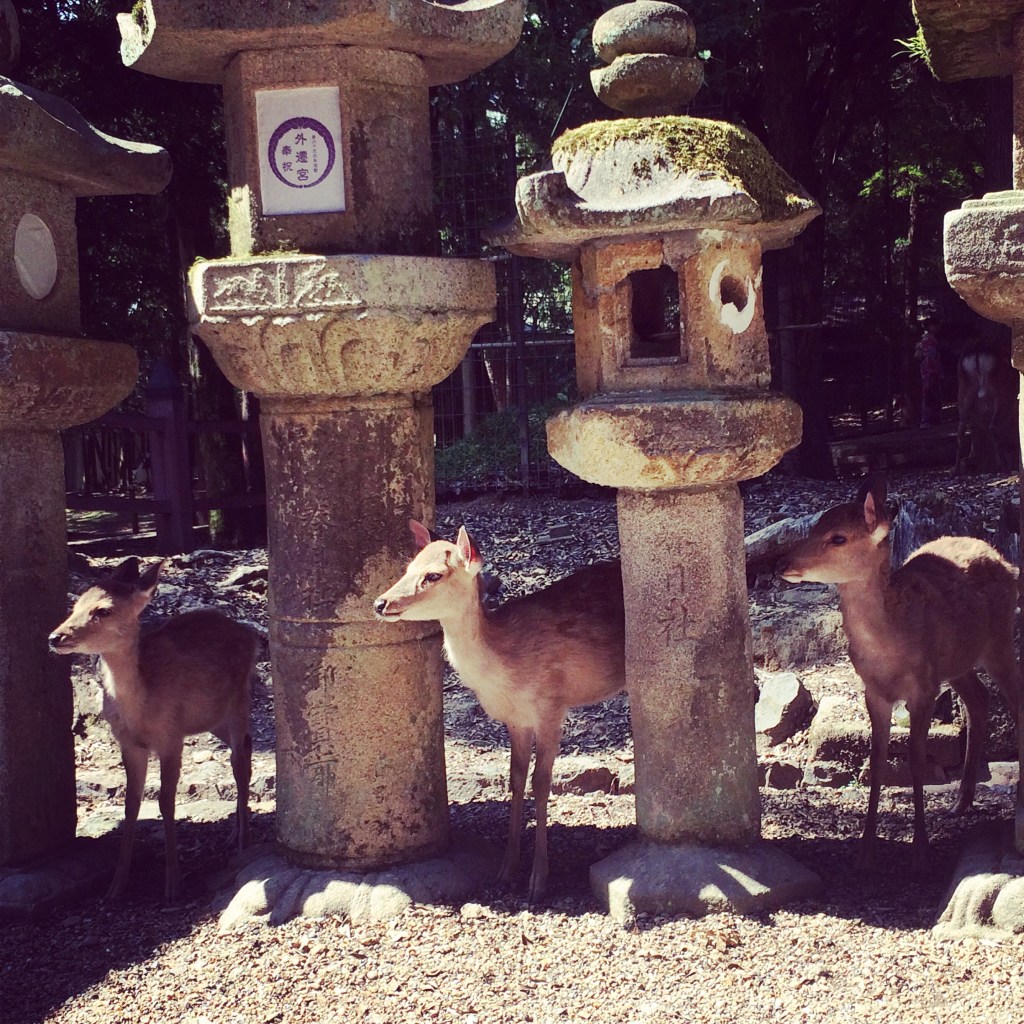 The Good, The Bad, and The Deer: Part 1